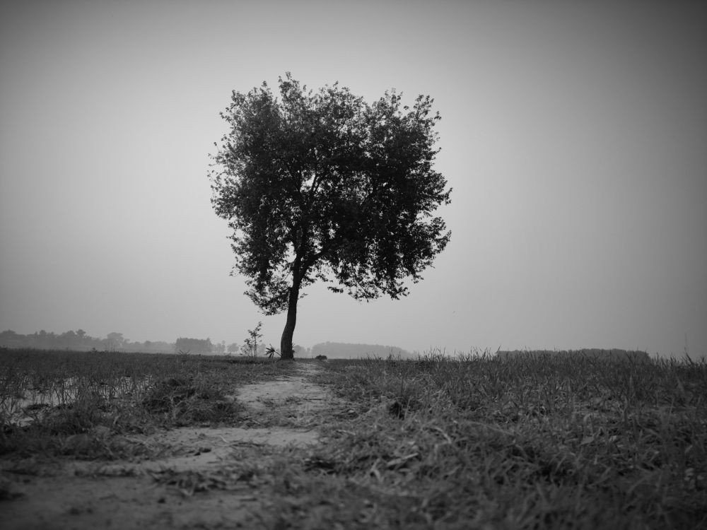 Photo #5656091
