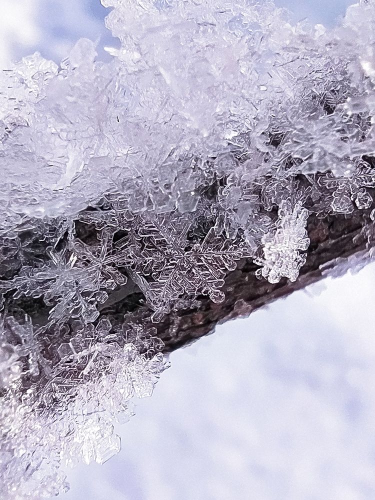 Photograph by Екатерина Зубарева