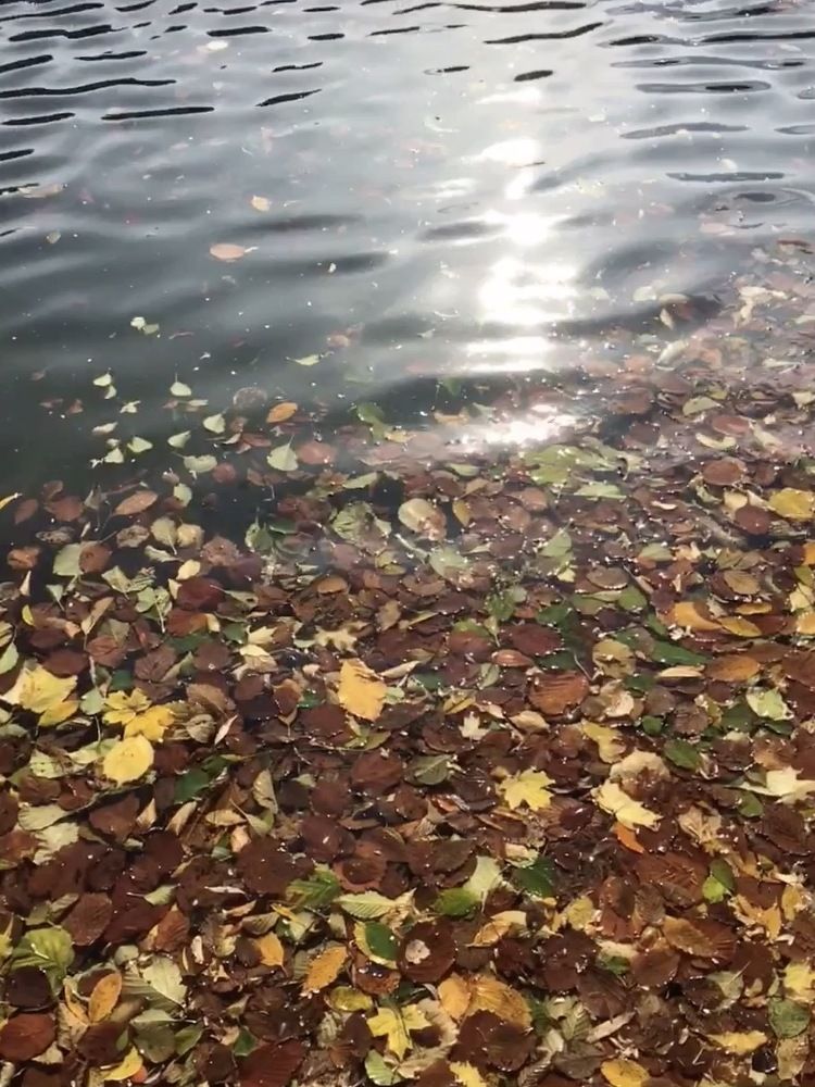 Photograph by Елена Семенова