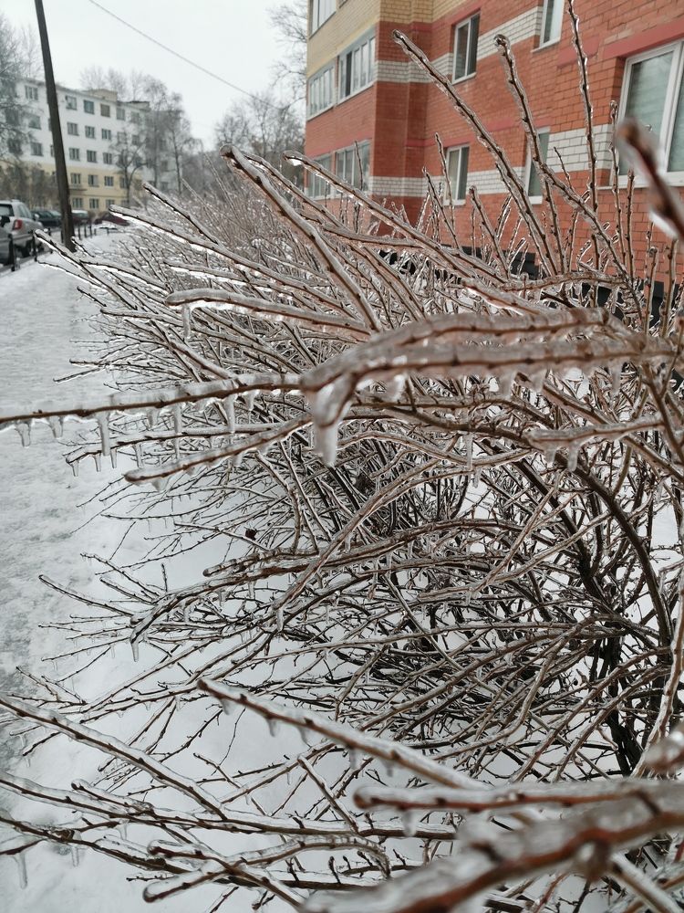 Фотография автора Ян Пчельников