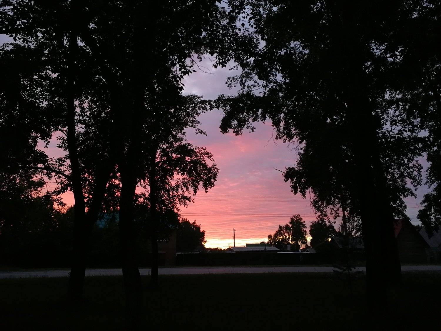 Photo #5656416