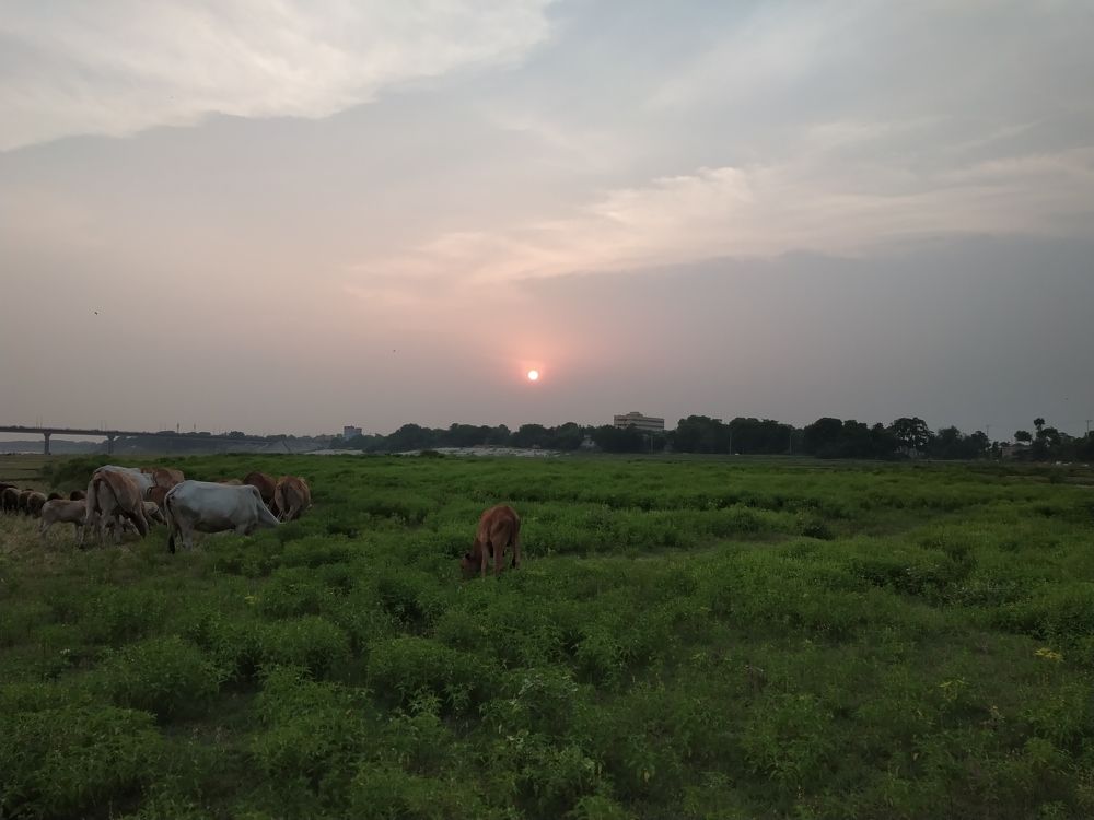 গোধূলির আকাশের সূর্যের ইতি