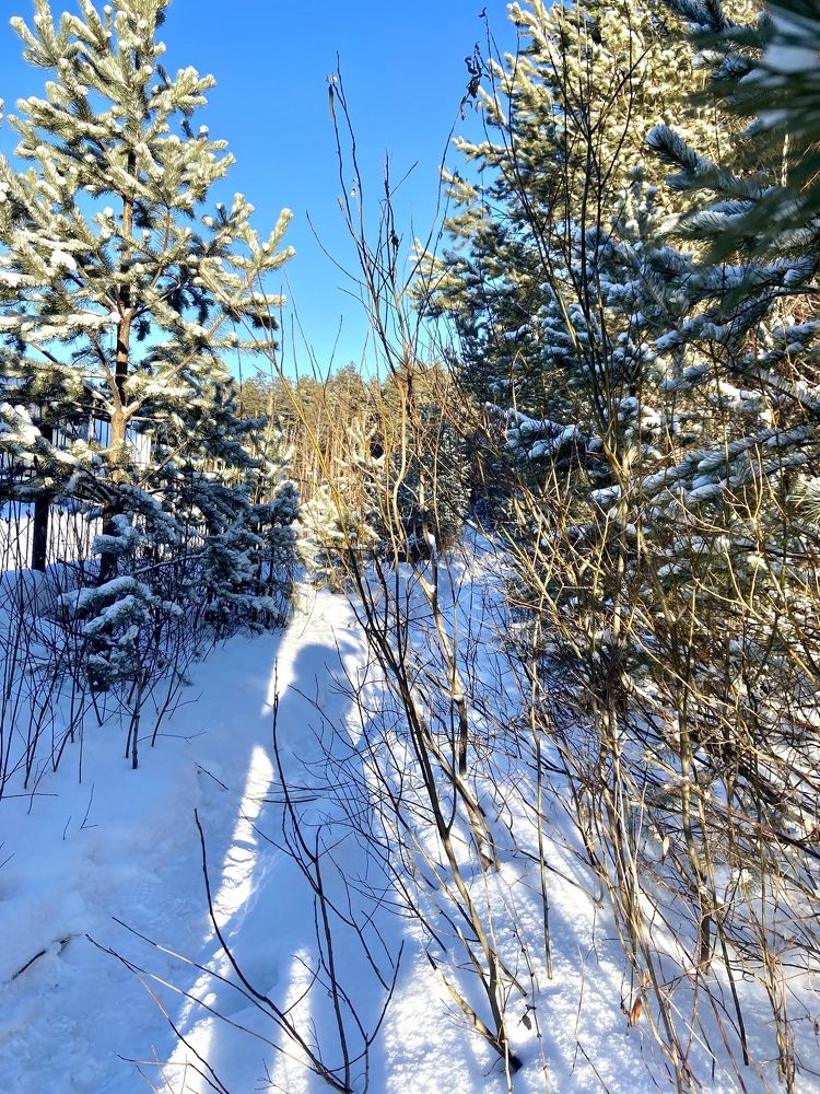 Photograph by Елена Мормоль