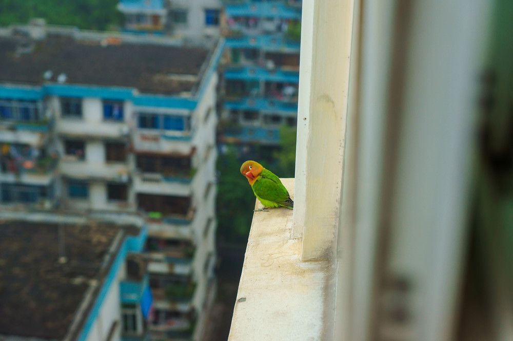 Photograph by Никита Попов