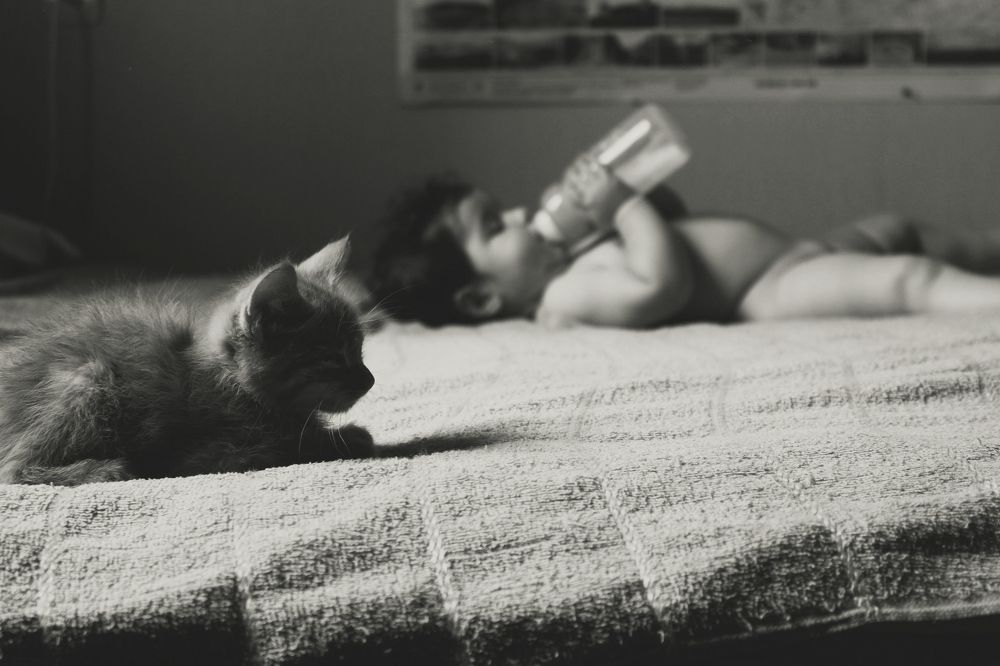 Photograph by Nino kubaneishvili