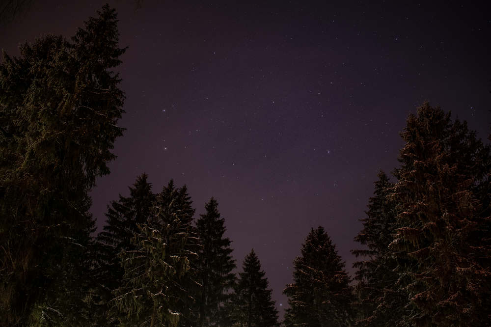 Photograph by Виктор Бурмистров