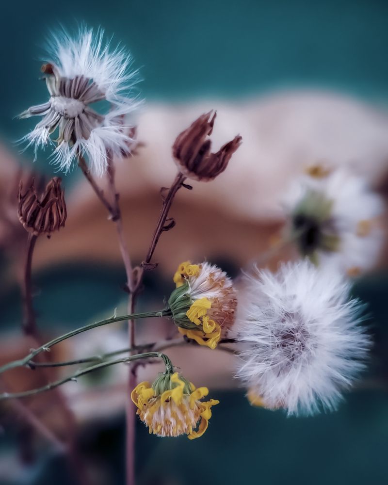 Photograph by Юлия Ледовская