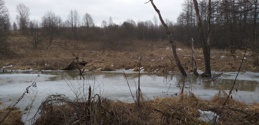 Photo #5656639