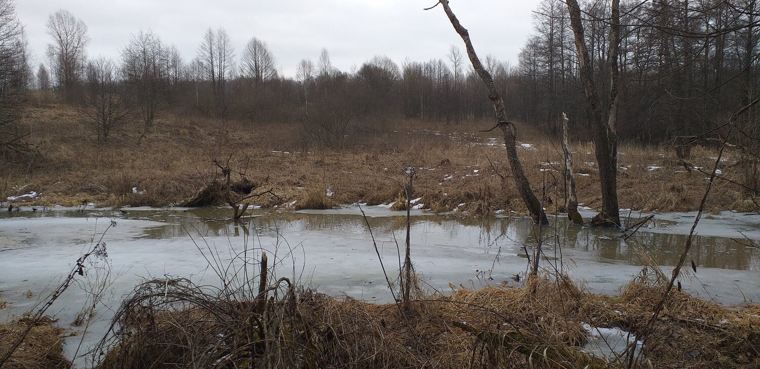 Photo #5656639