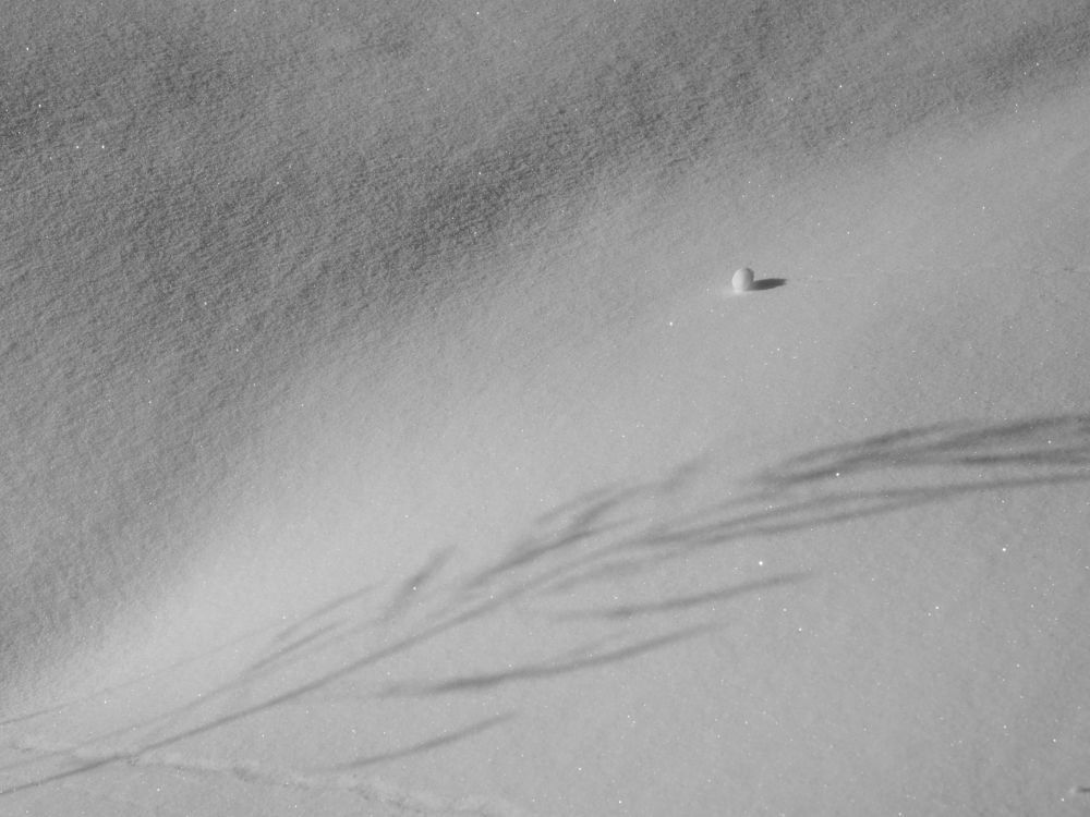 Снежная эстетика