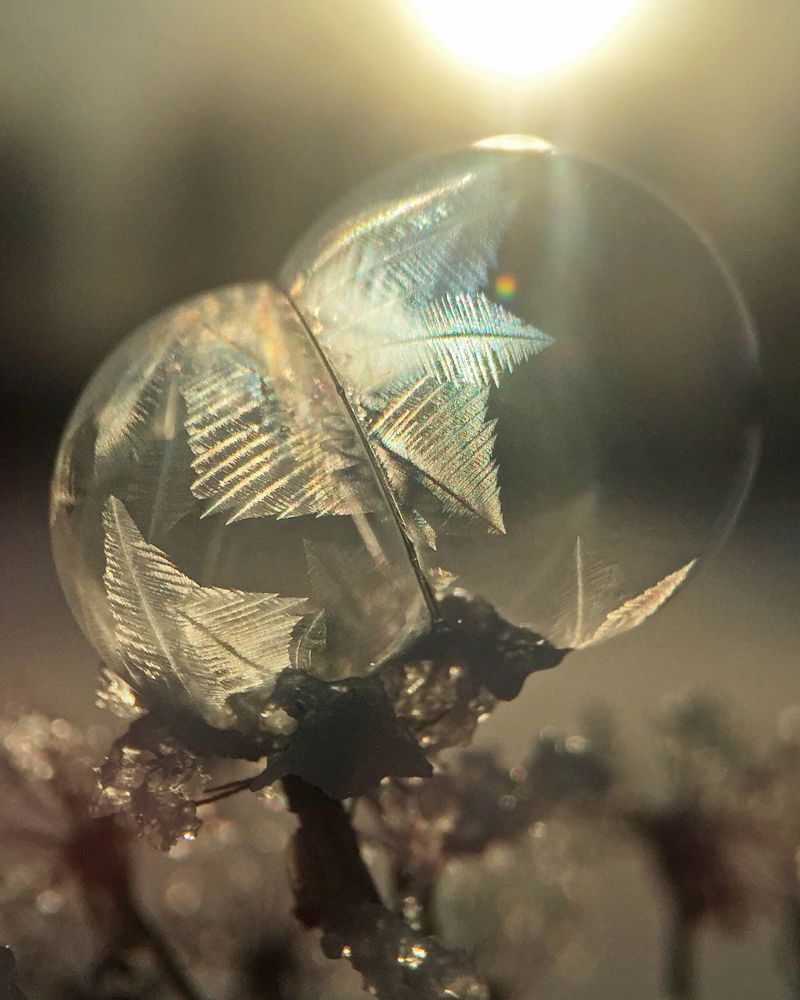 Photograph by Ольга Мурзина