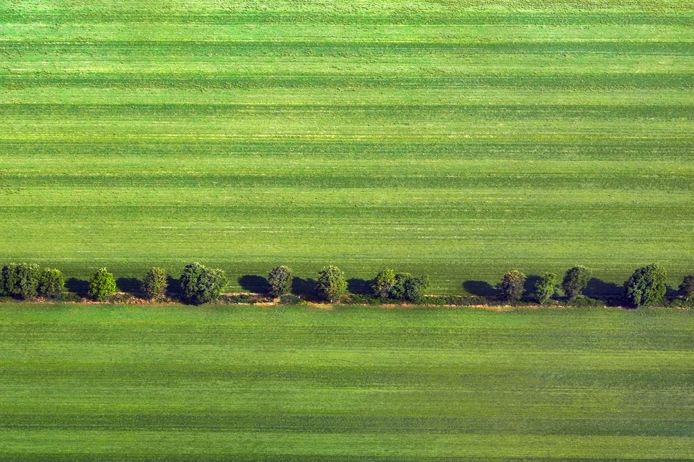 a round the Amsterdam