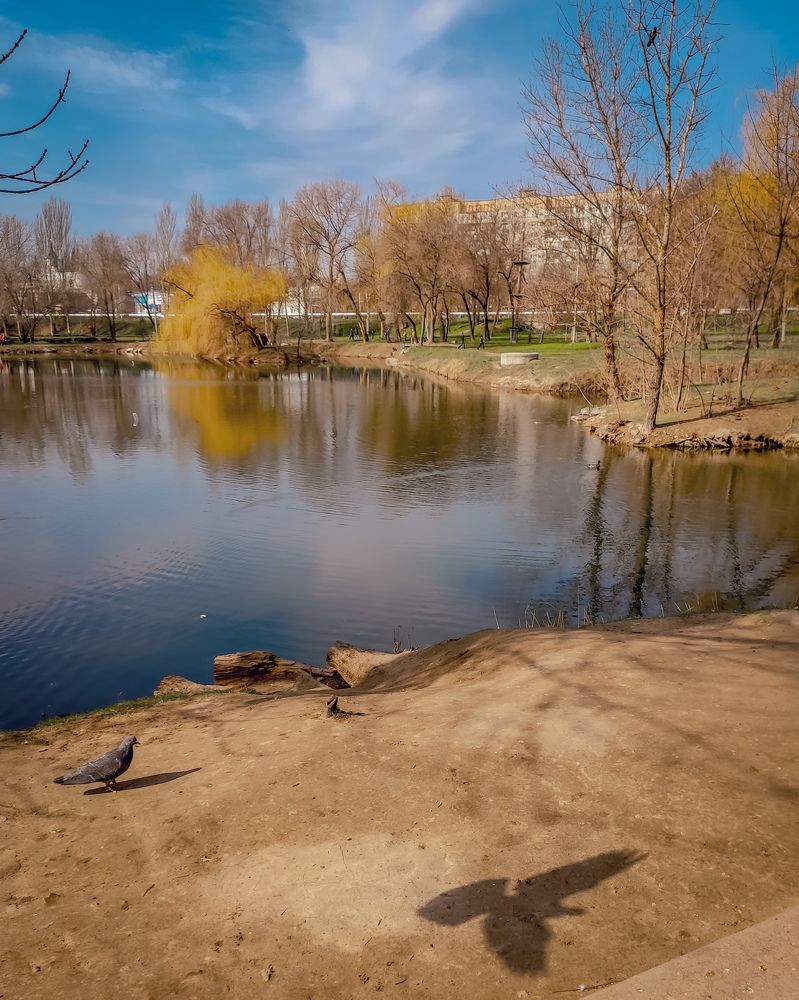 Photograph by Юлия Ключик