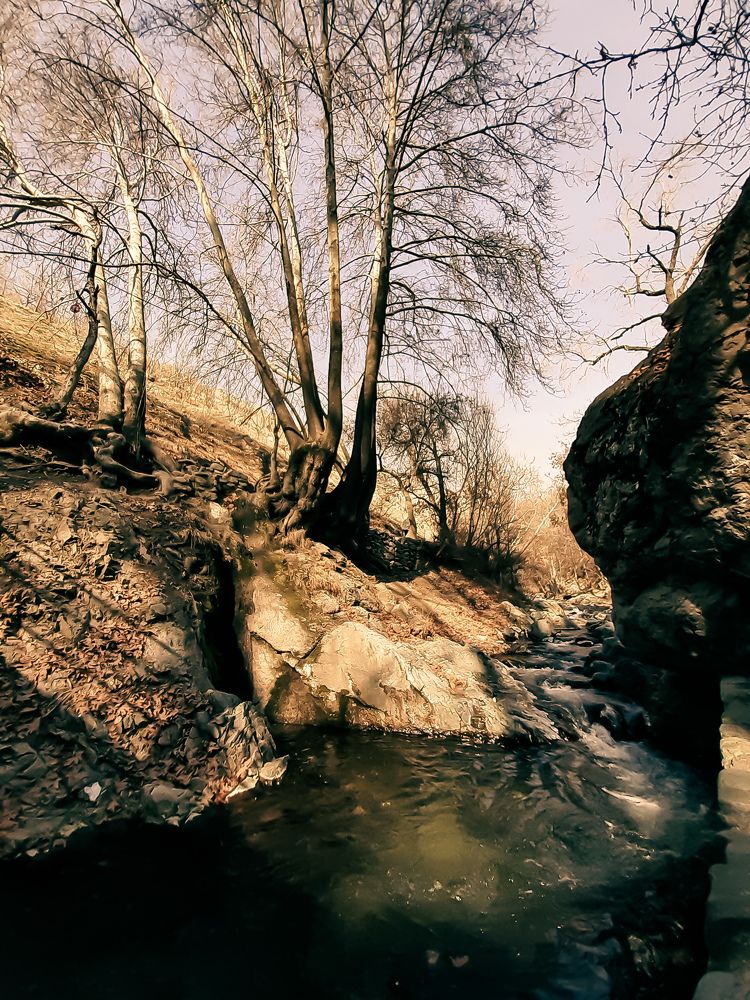 Photograph by Sarah Pouryousef