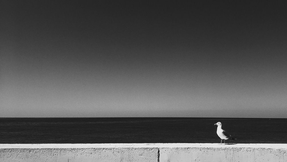 Photograph by Мария Алексеева