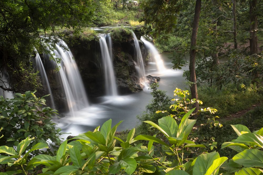 Фотография автора Vijay Richhiya