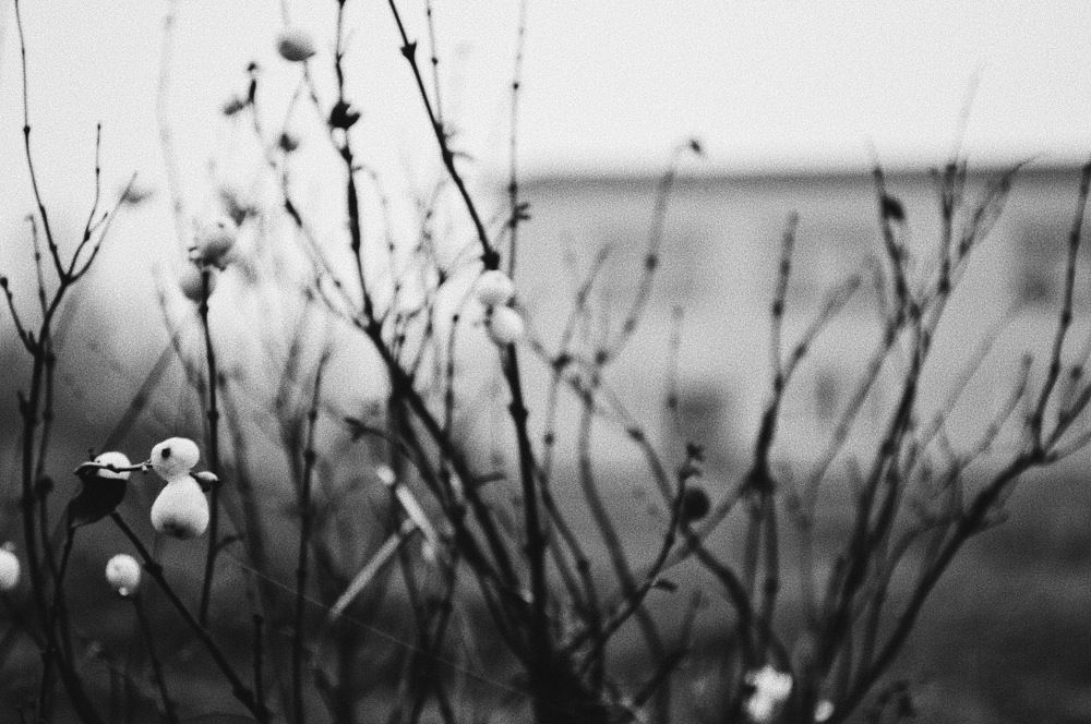 Photograph by Мария Алексеева