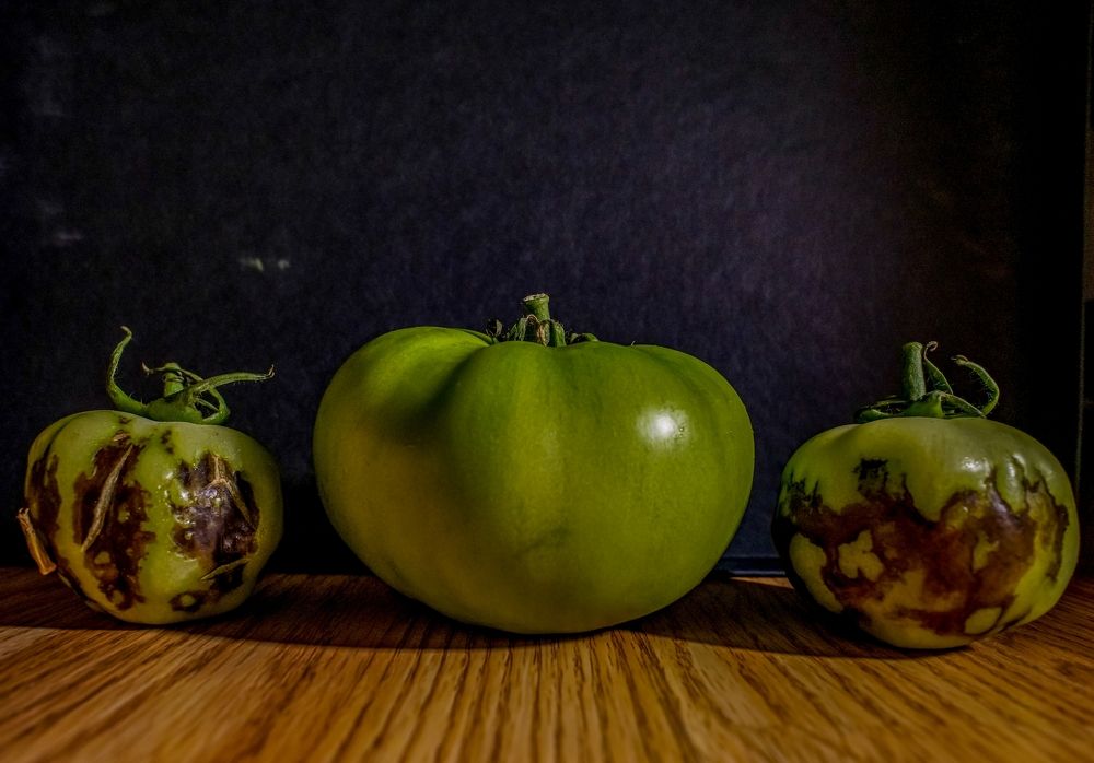 Photograph by Nikos Karatolos