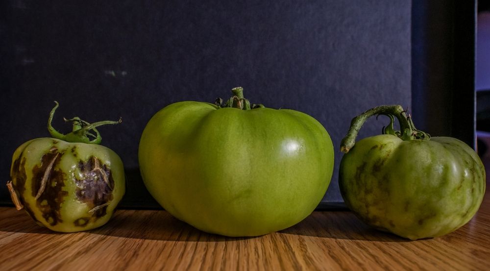 Photograph by Nikos Karatolos