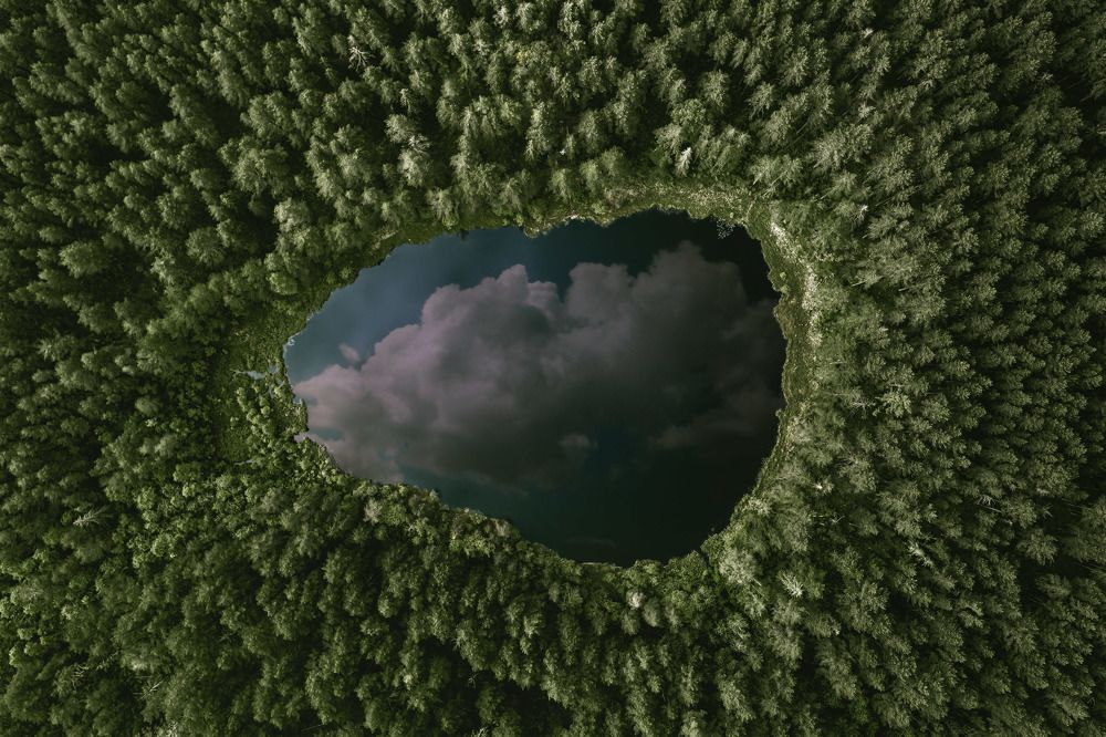 Photograph by Дмитрий