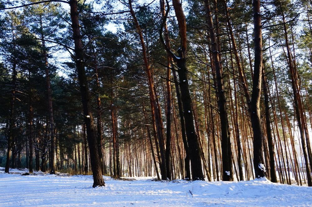 Photograph by Гала Дейк