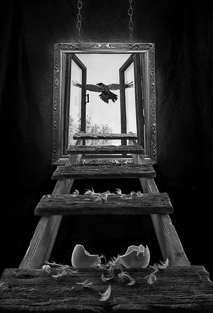 Photograph by Михаил Тонконожко