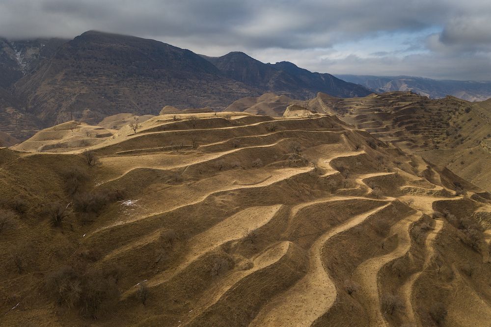 Photograph by Vladimir Kushnarev