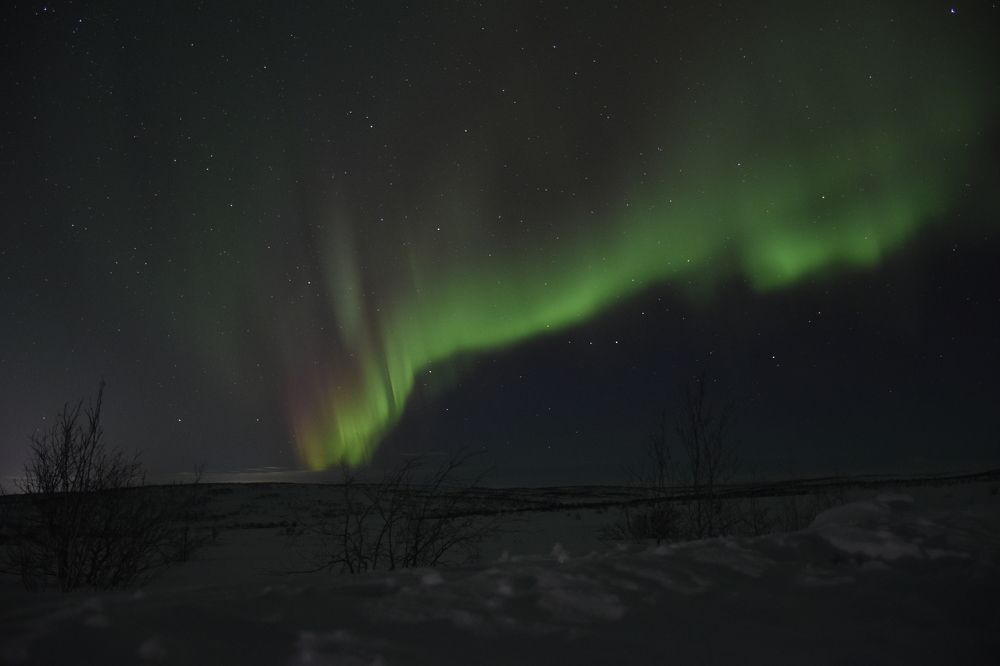 Photograph by Olga Yankus