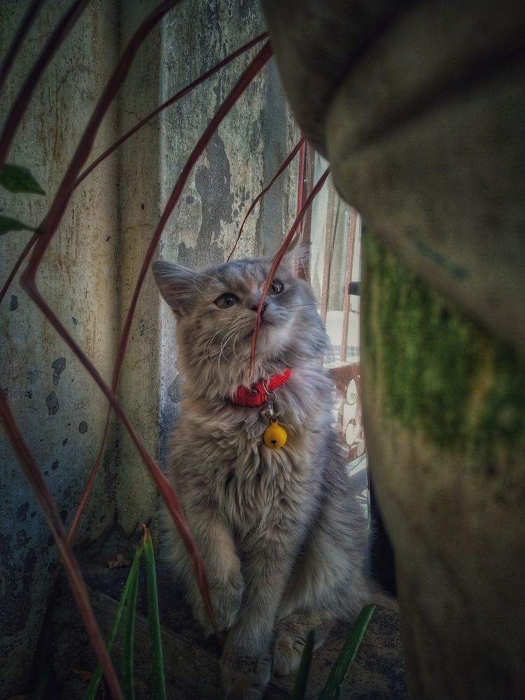 Photograph by Mitul Mistry