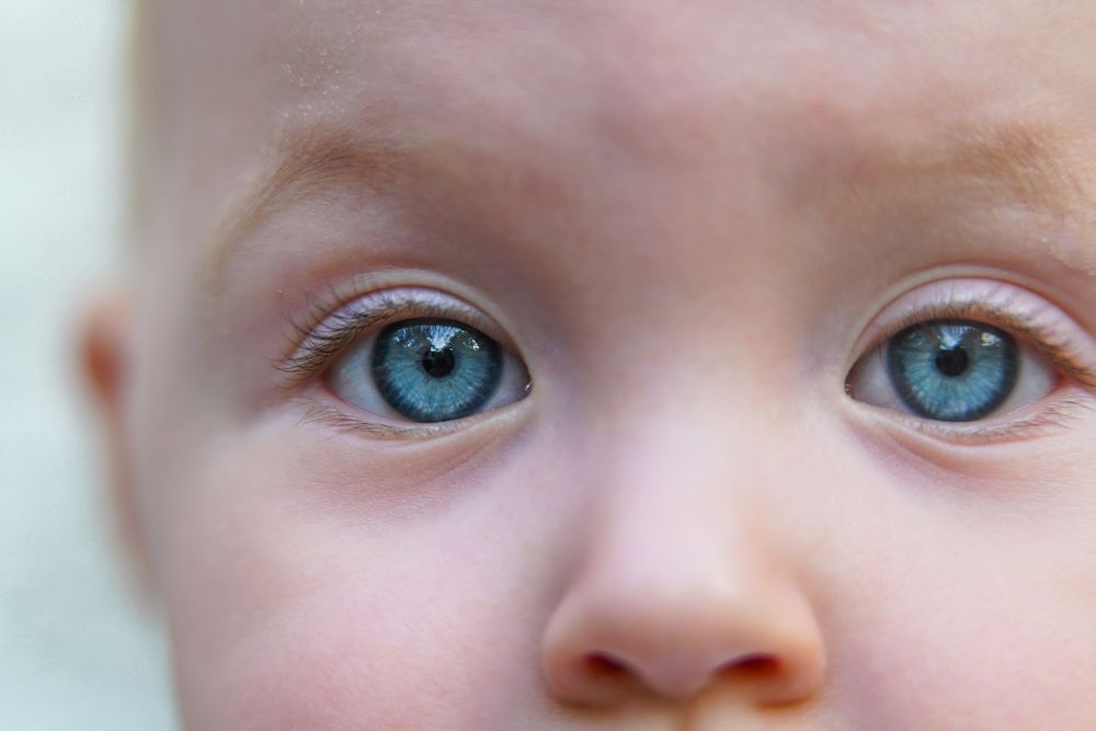 Photograph by Марина Беликова