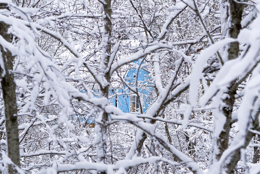 Photograph by Ilja Enger-Tsizikov