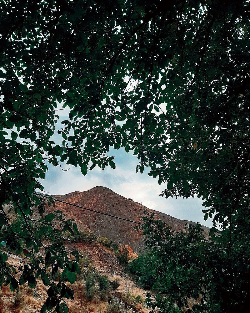 Photograph by Sarah Pouryousef