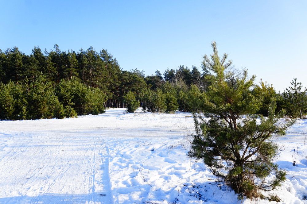 Photograph by Гала Дейк