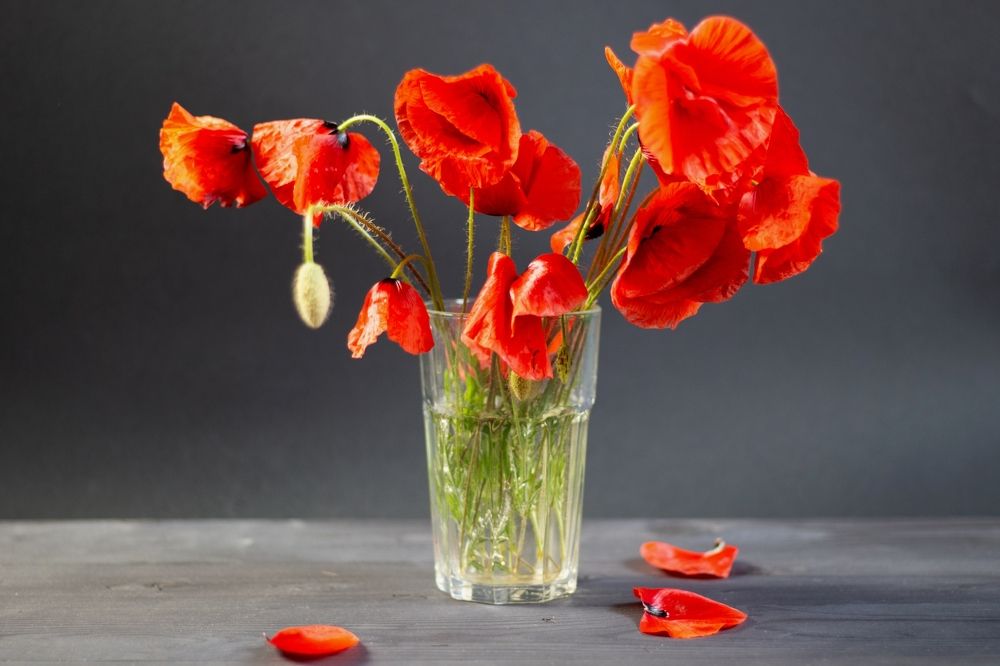 Photograph by Наталья Щербатюк