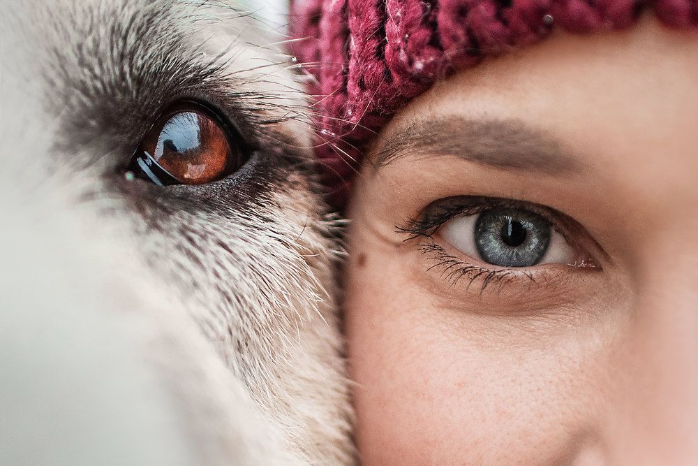 Photograph by Анна Пушина