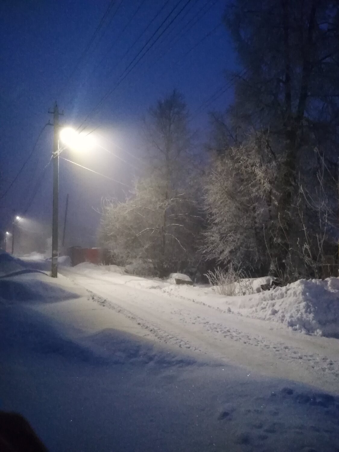 Photo #5657178