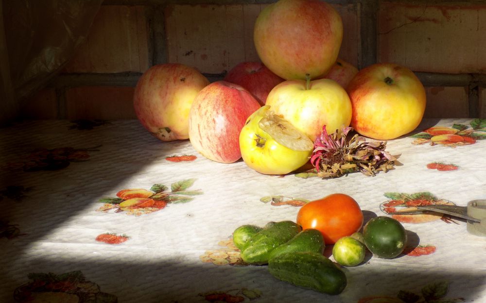 Photograph by Сергей Рудаков