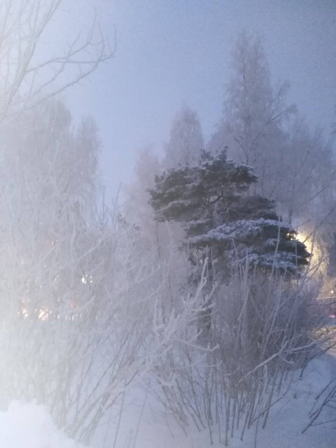 Photo #5657187