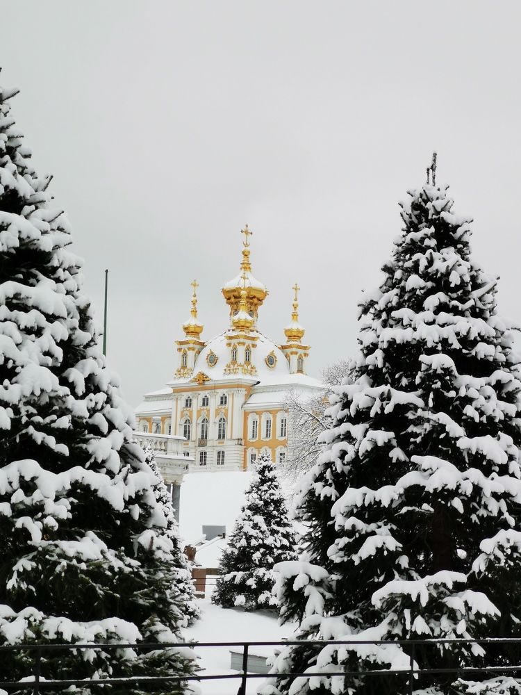 Photograph by Наталья