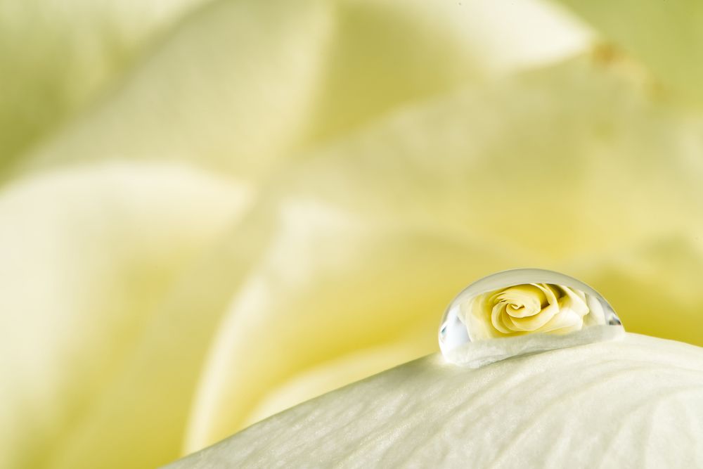 Photograph by Ilja Enger-Tsizikov