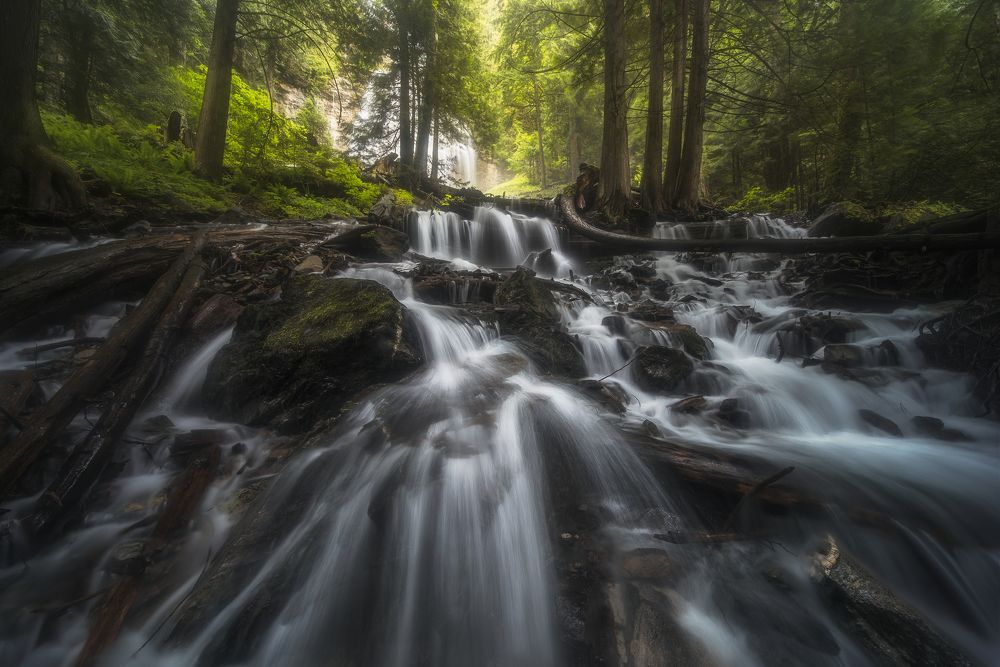 Photograph by 向 征