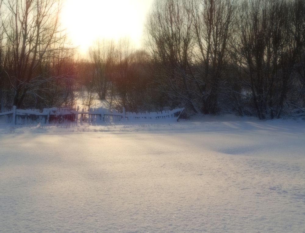 Photo #5657357