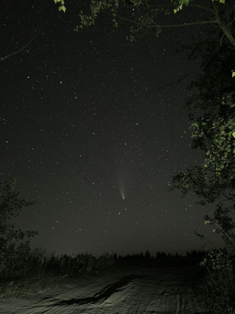 To meet the comet Neowise