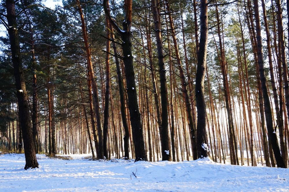 Photograph by Гала Дейк