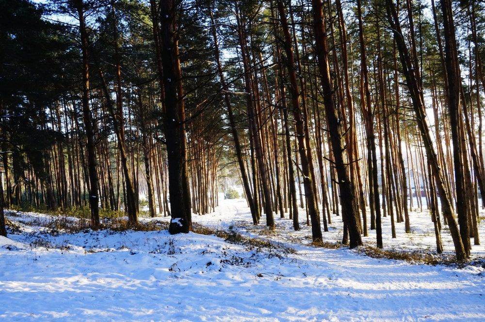 Photograph by Гала Дейк