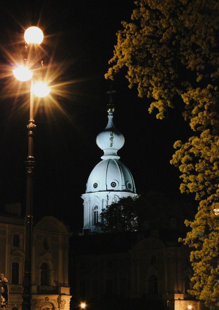 У Смольного собора