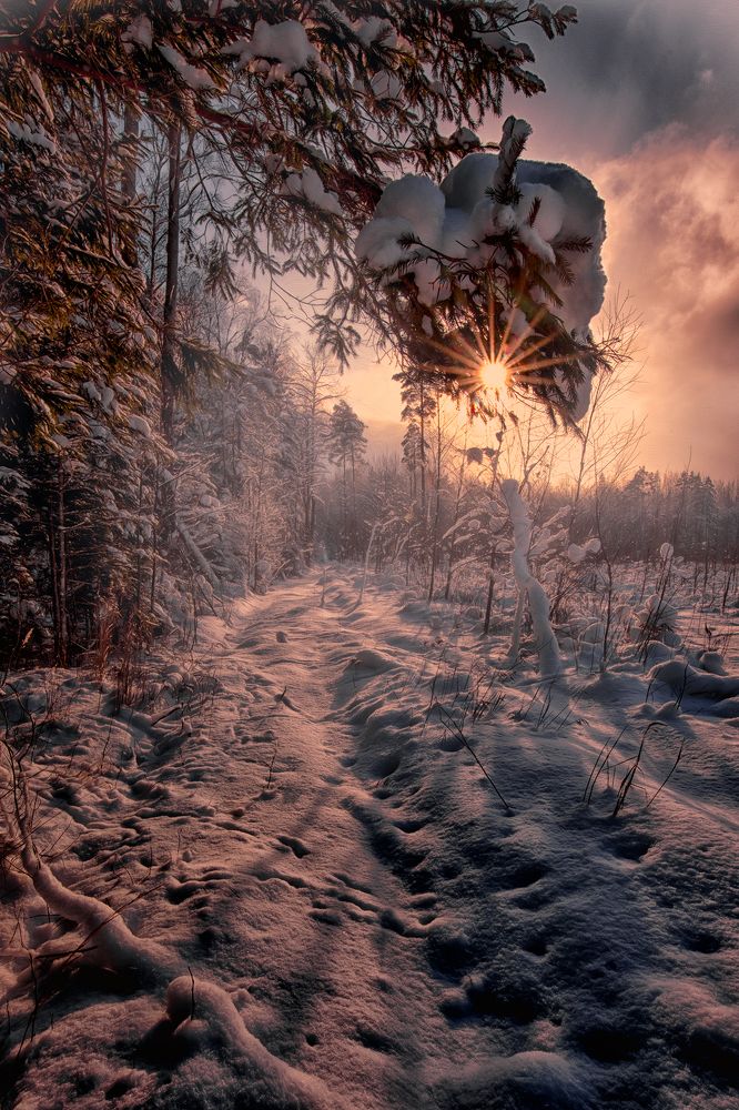 Фотография автора Aleksandr Kurnosov