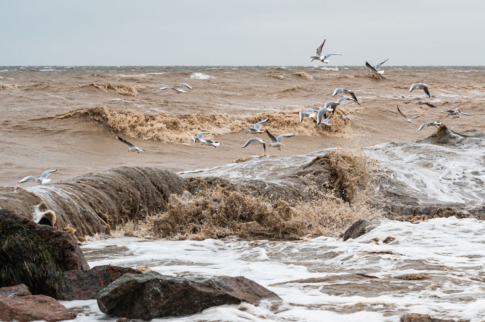 Шторм на Азовском море