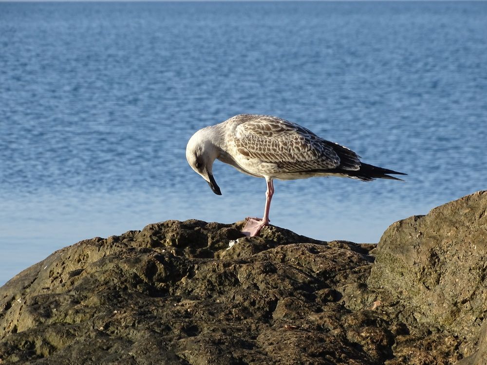 Photograph by Светлана Соболева