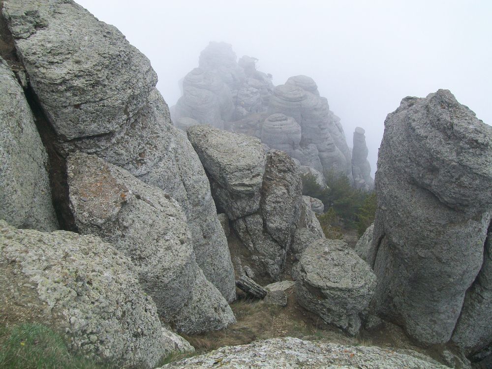 Photograph by Вероника Мищенко